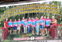 Loreto: Embarcadero José Silfo Albán del Castillo (ex Masusa) genera riesgos