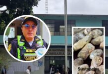 Jaén: desarticulan presunta banda criminal “Los Pintados de Ayabaca” con 40 kilos de PBC