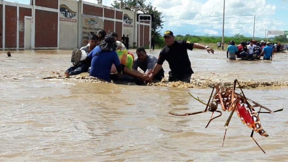 ¡Piura en Alerta Roja! El Dengue se Expande Tras las Lluvias Torrenciales