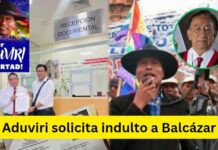 Tras pedido de Pedro Castillo, Walter Aduviri también le pide indulto al presidente Balcázar