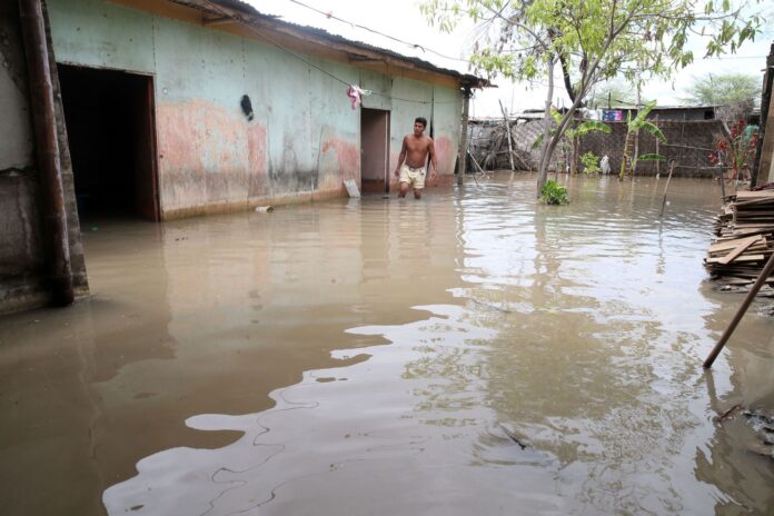 LEPTOSPIROSIS 2