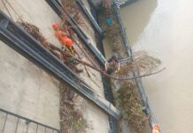Paita: PTAP El Arenal reinició operaciones tras limpieza de rejillas de canal Norte PTAP El Arenal reinició operaciones