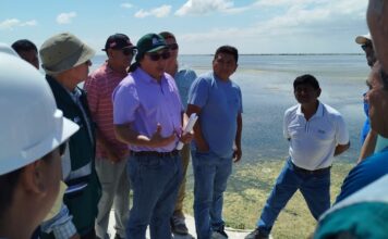 Maricultores de Sechura exigen culminar defensas ribereñas para evitar que El Niño destruya la producción de concha de abanico