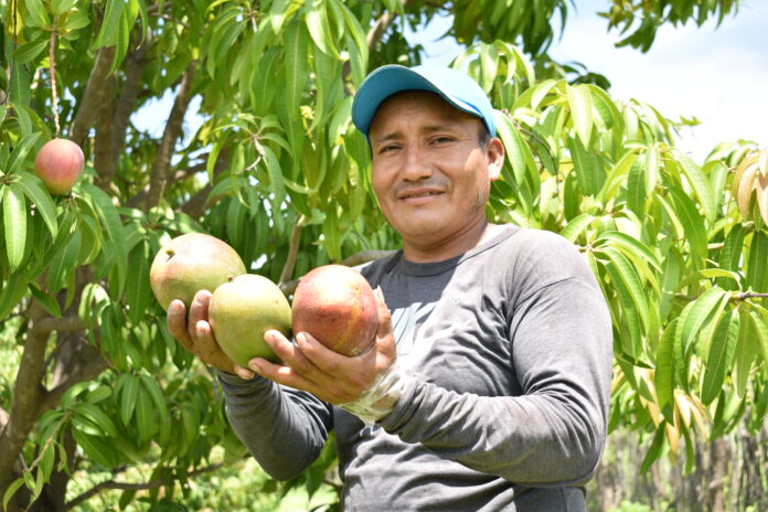 PRODUCTORES DE PIURA 2