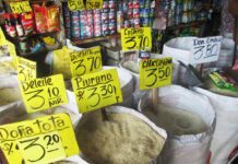 Maratón del Arroz Sechurano busca vender 4.5 toneladas y fortalecer la agricultura familiar en Sechura