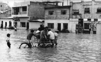 Economista sobre el FEN del 83: «Algo mucho peor que El Niño fue el accionar del gobierno… Actuó pésimamente» FEN golpeará a todo el país