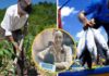 Especialista advierte que el Fenómeno El Niño se manifiesta con ola de calor y viene golpeando a la agricultura, Pesca y Salud
