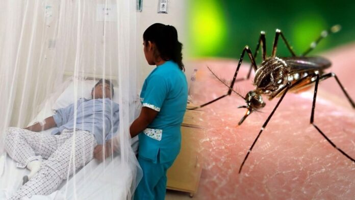 BAJA VACUANCION CONTRA EL DENGUE