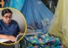 Piura ocupa el primer lugar a nivel nacional en casos de dengue con más de 10 mil contagios registrados en lo que va del año