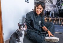‘Feria Pancho’ reunirá música, comida y adopción responsable este sábado 26 de setiembre