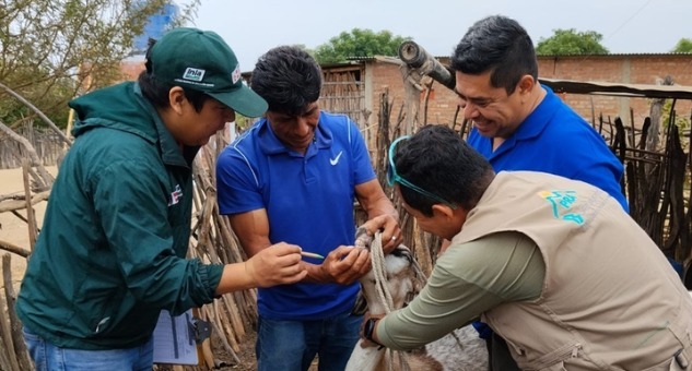 INSEMINACION