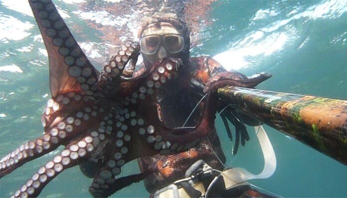 PESCA DE PULPO 2