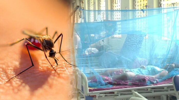 niña muere por dengue }