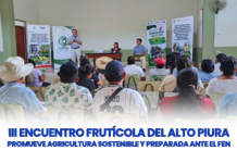 Productores frutícolas del Alto Piura fortalecen prácticas agroecológicas para enfrentar el cambio climático y el Fenómeno El Niño PRODUCTORES DEL ALTO PIURA FORTALECEN PRÁCTICAS AGROECOLÓGICASFRENTE AL CAMBIO CLIMÁTICO