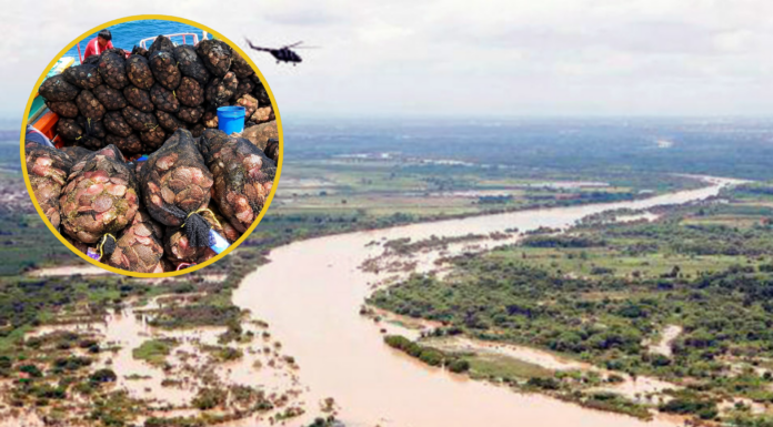 Maricultores de Sechura reiteran 5 exigencias al gobierno y advierten riesgos por desvío del río Piura Salida del río Piura