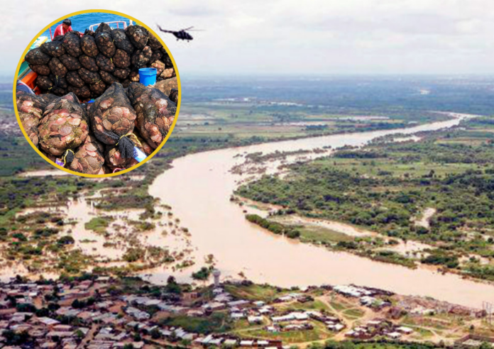 Salida del río Piura Salida del río Piura