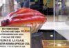 Cacao piurano gana primer lugar en concurso latinoamericano Cacao piurano