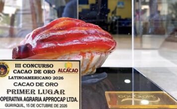 Cacao piurano