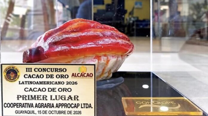 Cacao piurano Cacao piurano